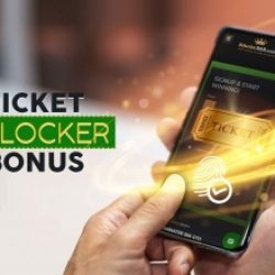 Bonus Codes Available at Khelo365