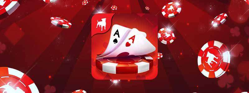 zynga poker free chips links